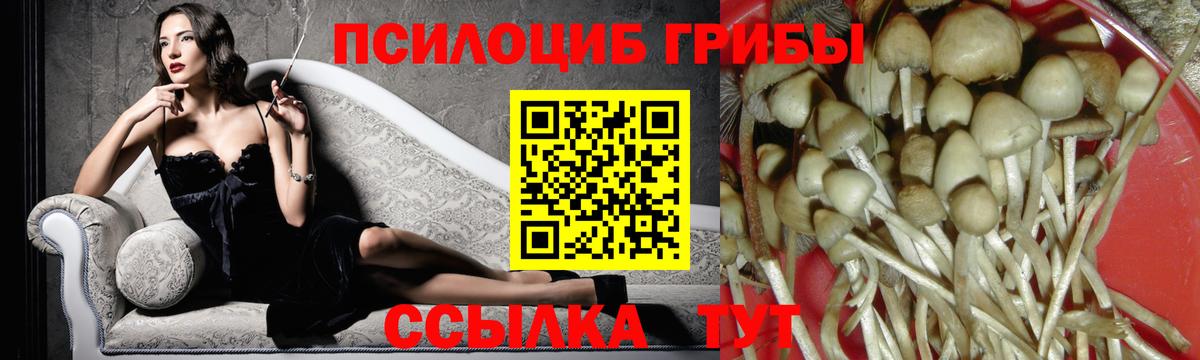 Псилоцибиновые грибы мицелий  Галлюциногенные грибы MAGIC MUSHROOMS  Вход с VPN  Южноуральск 
